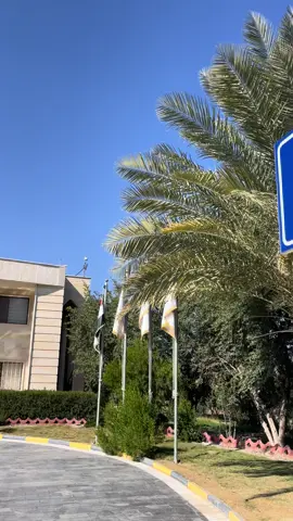 #معهد_الدور_التقني #الجامعة_التقنية_الشمالية #تصويري📸اكسبلوور #fyppppppppppppppppppppppp #متابعه_ولايك_واكسبلور_احبكم 