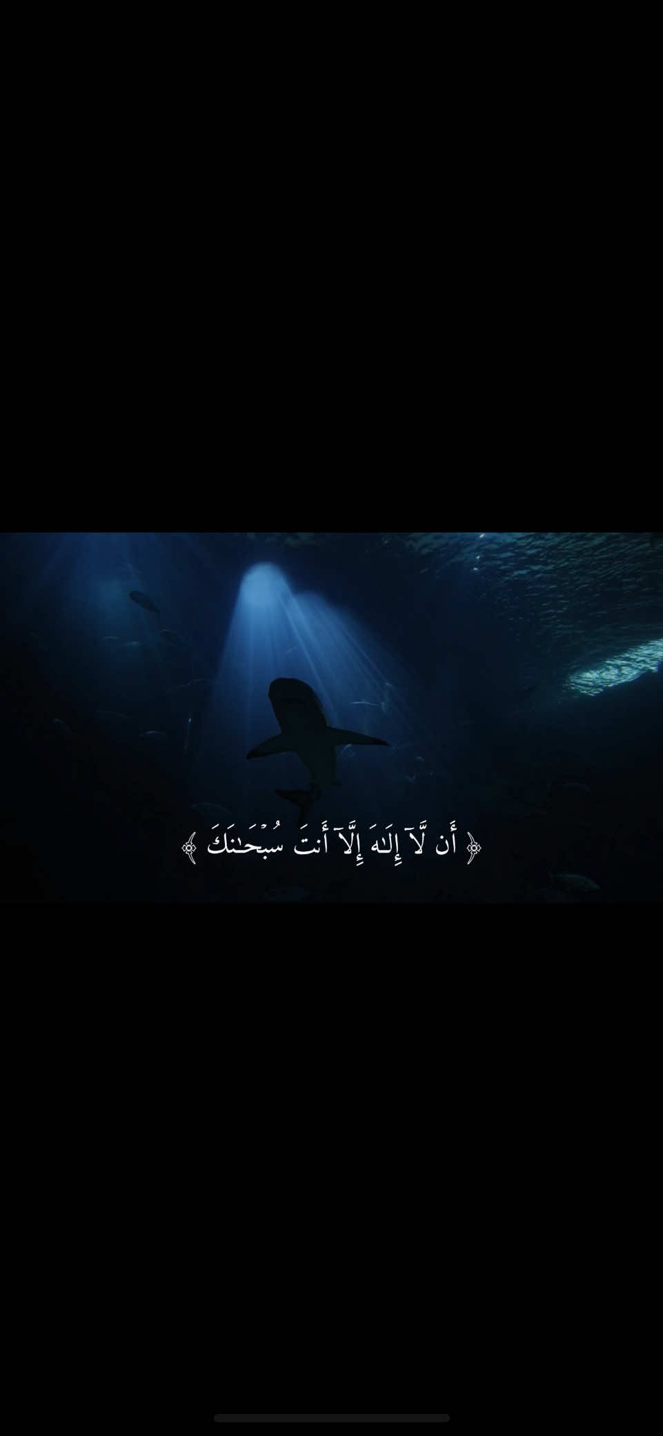 اكثر آيات القرآن الكريم تعلمنا انه مافي شي مستحيل وتعلمنا الذِكر الَّذي يخفف عنَّا - الحمدلله على نعمة الإسلام💙 #سورة_الانبياء #منصور_السالمي #quran #اكسبلورexplore #اجر_لي_ولكم_ولوالدينا_وللمسلمين 