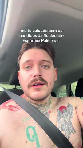 nao grita #palmeiras #choquerei #futebol #brasileirao 