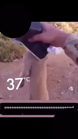 #ههههههههه #yyyyyyyyyyyyyyyyyyyyyyyyyyyyyyyyyyyyyyyyyyyyyyyy #fup 