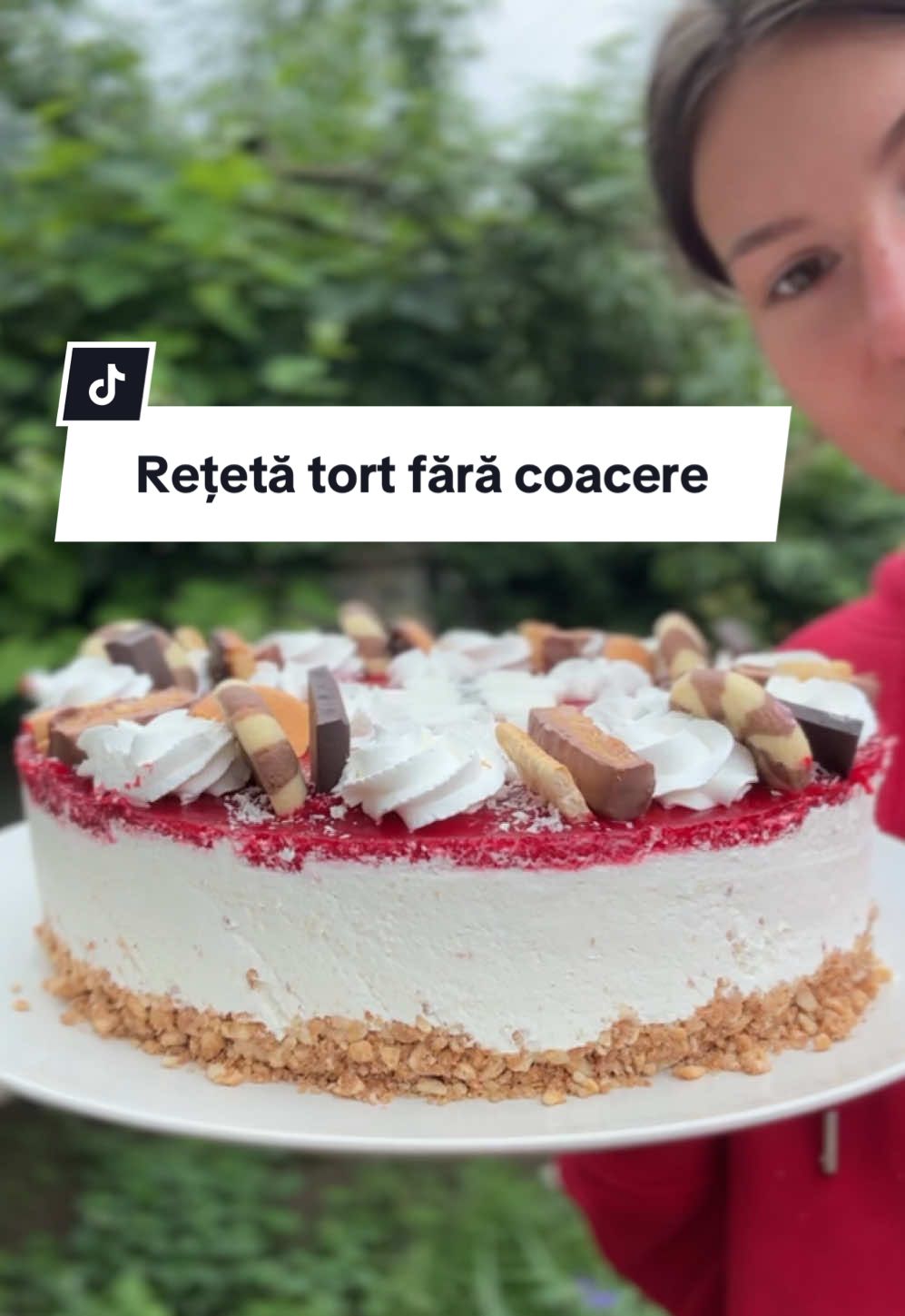 Tort fara coacere, cheesecake Un desert rapid, fără cuptor, cu gust de cofetărie și drag de acasă. ❤️  #cheesecake #tortfaracoacere #prajituri #pasiuneameapentruprajituri #doarcuajutorulluidumnezeu 