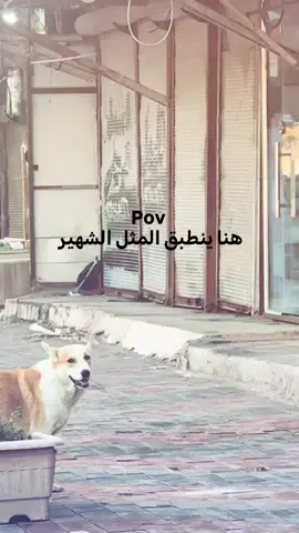هسه شتخسر من تتابعني 😅💋 منو يعرف المثل 😅😅 #الشعب_الصيني_ماله_حل😂😂 #الشعب_العراقي_ماله_حل😂😂 