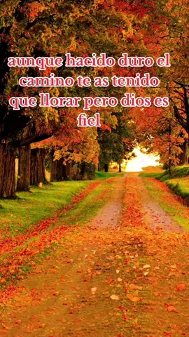 #alabanzas_cristianas #indomable872 