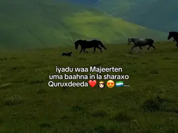 ❤️😍#CapCut #foryoupage❤️❤️ #majeertenimo👑🇸🇱🦁 #puntlander🇸🇱 #foryoupage❤️❤️ 