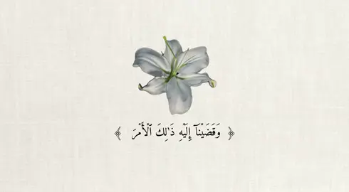 ﴿وَقَضَيۡنَآ إِلَيۡهِ ذَٰلِكَ ٱلۡأَمۡرَ أَنَّ دَابِرَ هَٰٓؤُلَآءِ مَقۡطُوعٞ مُّصۡبِحِينَ﴾ الحجر [٦٦] - #صدقة_جارية #قران_كريم #هزاع_البلوشی #quran #اجر_لي_ولكم_ولوالدينا_وللمسلمين 