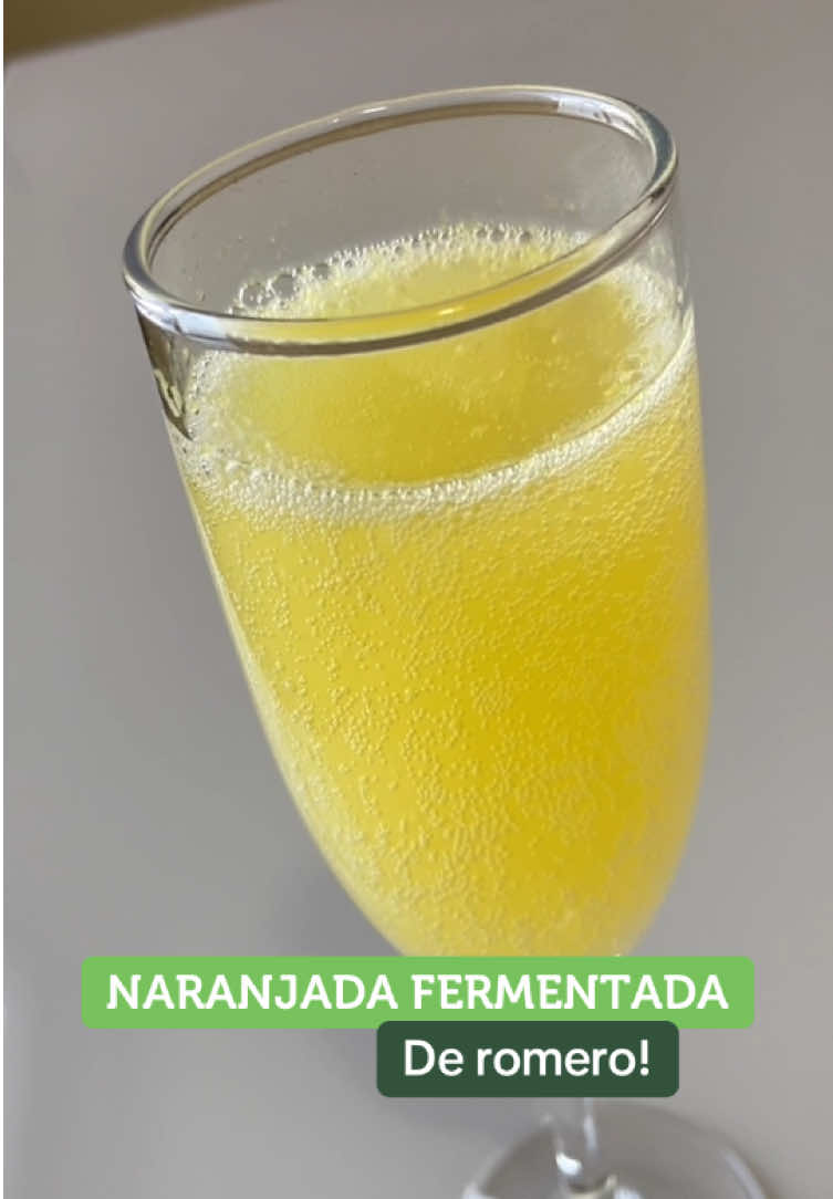 ✅ Después de 48 horas, colala y llevála a la heladera!  👇🏻Si querés que tu gaseosa quede con mucho más gas, escribí SEGUNDA en los comentarios y te mando el paso a paso de la segunda fermentación! 🫧 #naranjada #bebidafermentada #gaseosanatural #starter #fermentacion fermentation - gingerbug 