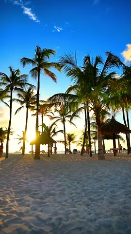 🌴☁️☀️🇦🇼