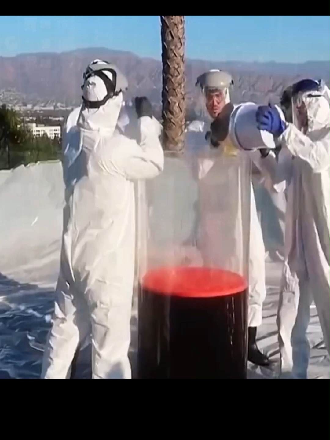 집안 살림 꿀팁 #lifehacks #꿀팁 #살림꿀팁 #집콕생활 #혼자산다 #DIY