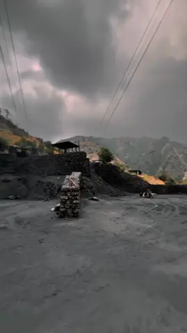 black Gold🏅#creatorsearchinsights#fyp 