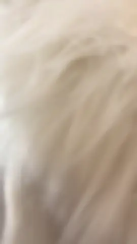 Trois teintes. Trois humeurs. Un seul éclat. ✨ Keyz’s Cosmetics — là où le luxe se porte comme une attitude. #GlossAddict #KeyzsMuses #LipCare #HighEndBeauty #MadeWithCare