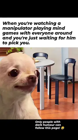 follow to see more evil memes🤣😂 #evildog #diabolical #chiuaua #fyp #memes 