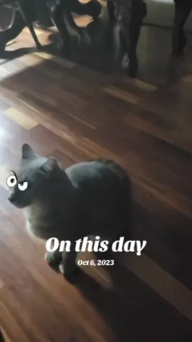 #onthisday