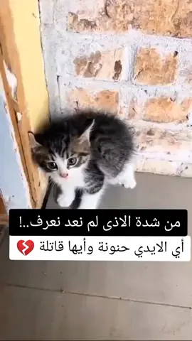 من شدة الأذى#foryoupage #explorer #fyp #ستوريات 