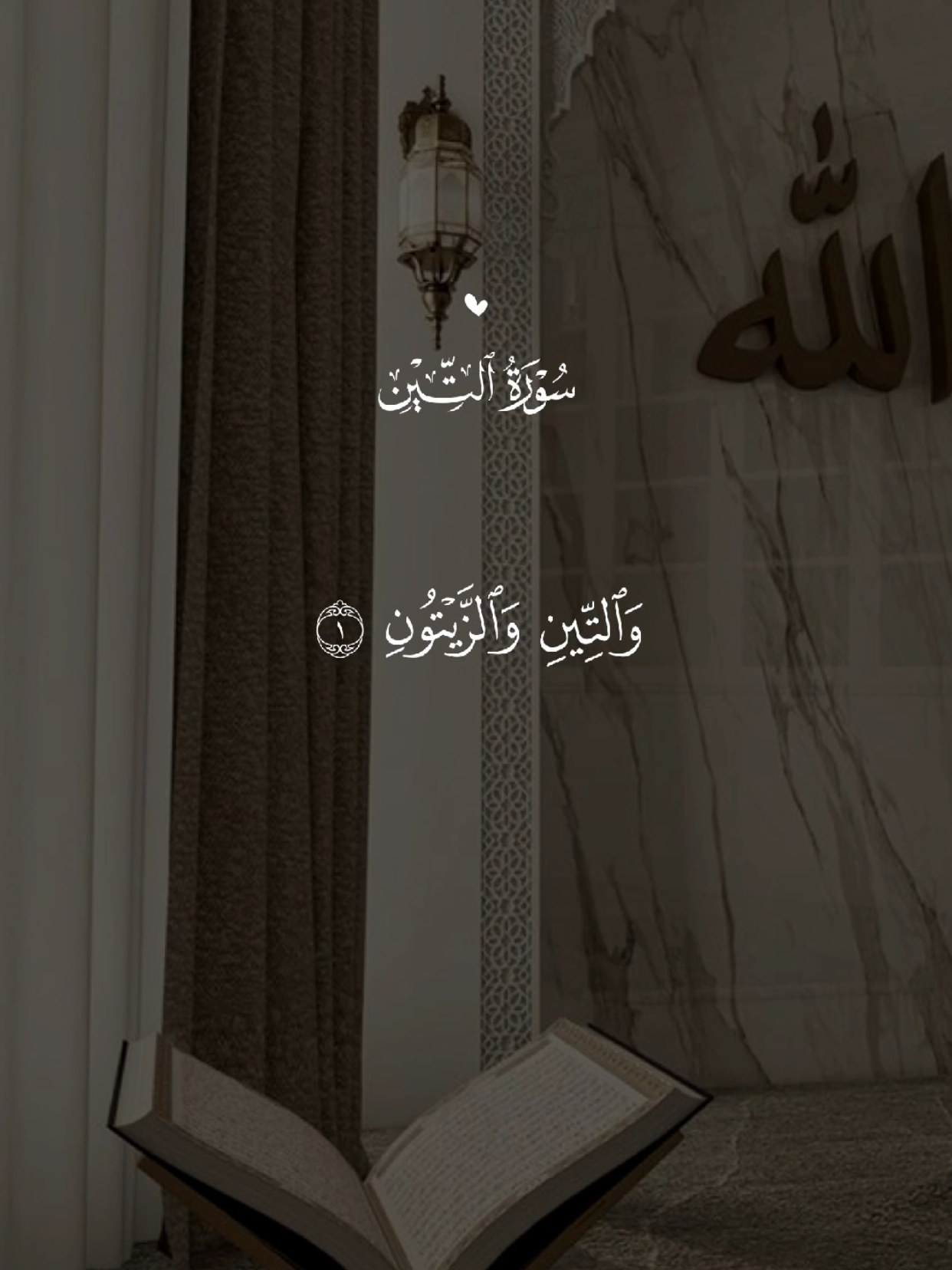 #قران #quran #قران_كريم #quran_alkarim #القران_الكريم 
