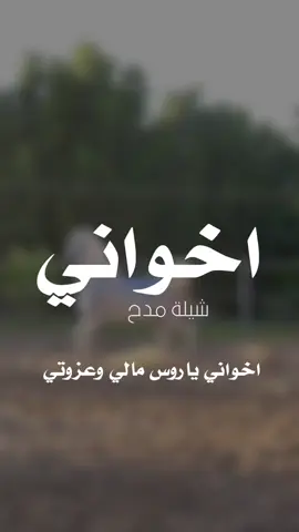شيلة اخواني ياروس مالي 2025شيله مدح اخواني  #شيلات_مدح_شيلات_تباريك_شيلات_زواج_ #السعودية_الكويت_الامارات_قطر #شيلات_روعه_خواطر_ذوق #ppppppppppppppppppppppppppppp🥰 