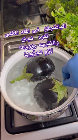 الباذنجان فى الماء المغلى ⁉️ندمت انى مجربتهاش من زمان النتيجه روووعه لازم تجرّبيها
