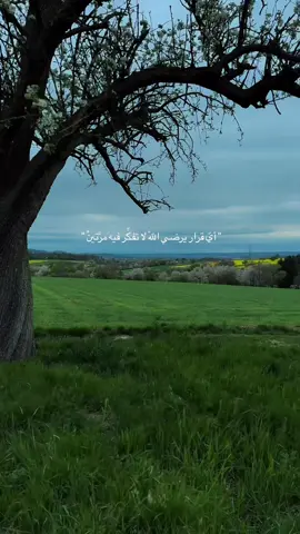 لا تفكر فيه مرتـين !!  #fffffffffffyyyyyyyyyyypppppppppppp #explor #قران_كريم #قرا #اكسبلوررر 