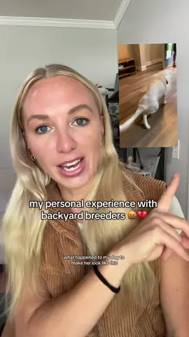 and I’d do it all again to save her from whatever she would have had to endure ❤️ #rescuedog #rescue #backyardbreeder #greatpyrenees 