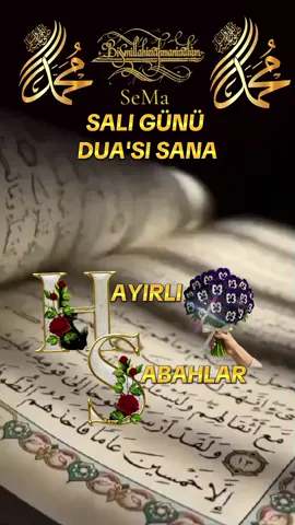 🌼🤲🌼🤲#nadire31 