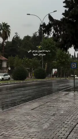 #fypシ゚ #viral #fyp #explore #CapCat 