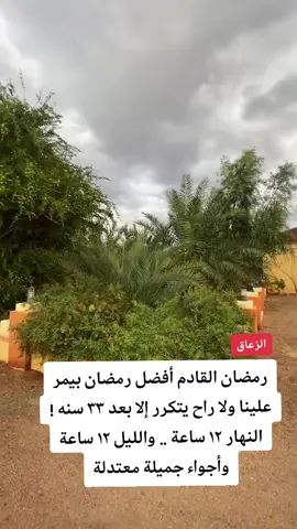 #اكسبلور #المدينة 