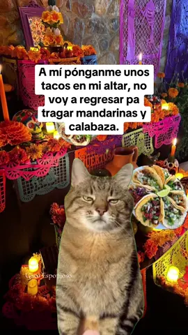 #Meme #MemeCut 