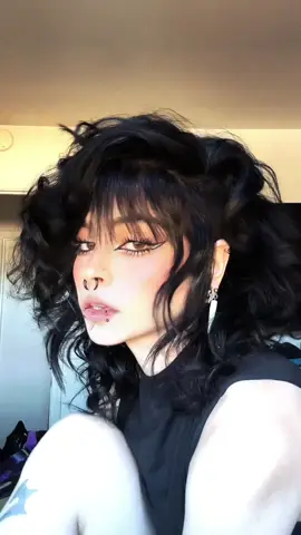 Replying to @someone’s housecat something kinda like this?