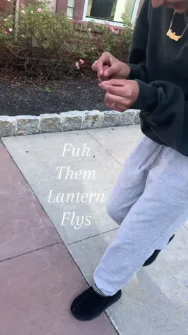 Them things needa stop jumping fr