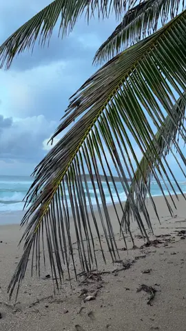 Guess the beach #puertorico 