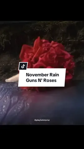 Amor que resiste aunque nada dure para siempre 🌹. #gunsnroses #novemberrain #useyourillusion1 #subespañol #traducciones 
