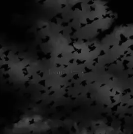 #rosenrot #rammstein #edit #rammsteinfan #fyp 