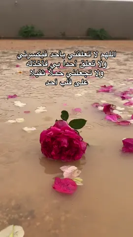 #في هذا اليوم 