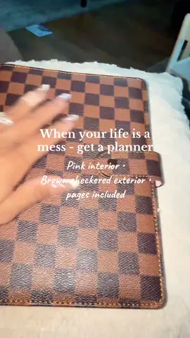 Because being that girl means staying organized (and doing it in pink 💅🩷) #DailyPlanner #ThatGirlAesthetic #PinkVibes #OrganizedLife #GirlyGoals 