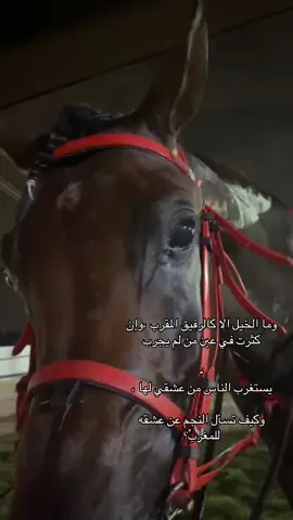 ماشاء الله #اكسبلور #خيل_وخياله🐎 #تدريب_خيل #مكة #ركوب_الخيل_هوايتي 