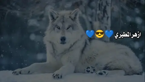 #شعر عراقي شعبي#☝️☝️☝️☝️☝️😎😎😎😎😎😎☝️☝️☝️☝️☝️☝️💖💖💖🥀🥀🥀 