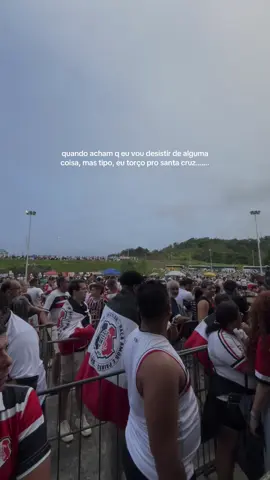 se o tricolor nunca desistiu do santa, ele n desiste de nada na vida mais #fyppppppppppppppppppppppp #santacruz #fyp 