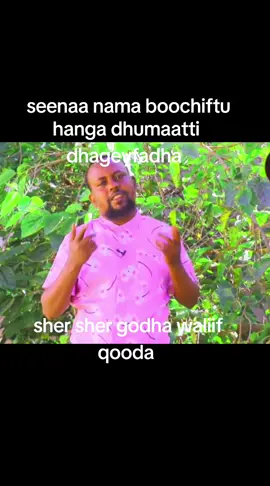 #ethiopianmuslimtiktok #itophiyaa🇪🇹🇪🇹🇪🇹❣💯my #creatorsearchinsights 