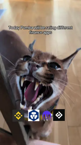 @Kem has a special place in Pumba’s heart🙈