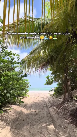Nosso quintal apenas 80m do chalé 😮‍💨😍💙🌊☀️🏝️ #nature #beach #chale #maranhao #turismo 