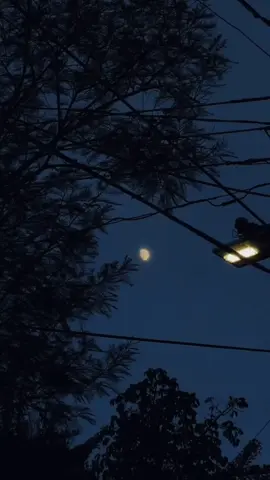 La frase de hoy es.  La vida no te pregunta si quieres ser fuerte💪🏻  La vida te obliga a aserlo. ❤️‍🩹🍀✨️ #CapCutMotivacional #Motivacional #reflexaododia #CapCut #paratiiiiiiiiiiiiiiiiiiiiiiiiiiiiiii @#foryou @FRASES Y REFLEXIONES @CapCut 