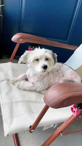 #grounding #viral #energyhealing 