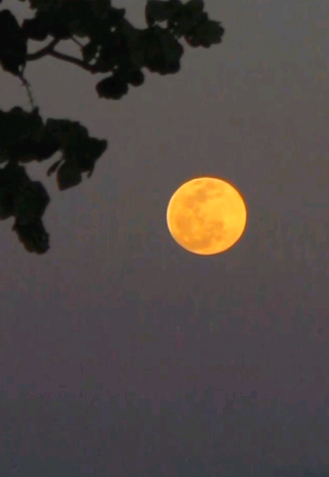 Super lua cheia de outubro. 🌕🤩 #luacheia #moon #canon  #superlua 