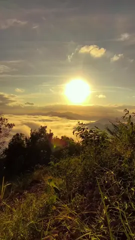 Manjai dengan sunrise nya 🙌 #fyp #bukitmanjai #sunrise #trailrun 