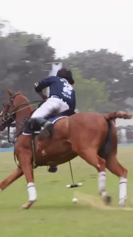 Georgian Cup🏆 Archives  #Elaminpoloteam #polo #ESPN #cambiaso #ladolfinapoloteam 