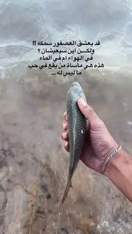 كتاباتكم على هذا الفيد 🤎 تصويري .   #حركة_إكسبلور #حب #شعر #اقتباسات #اكسبلور 