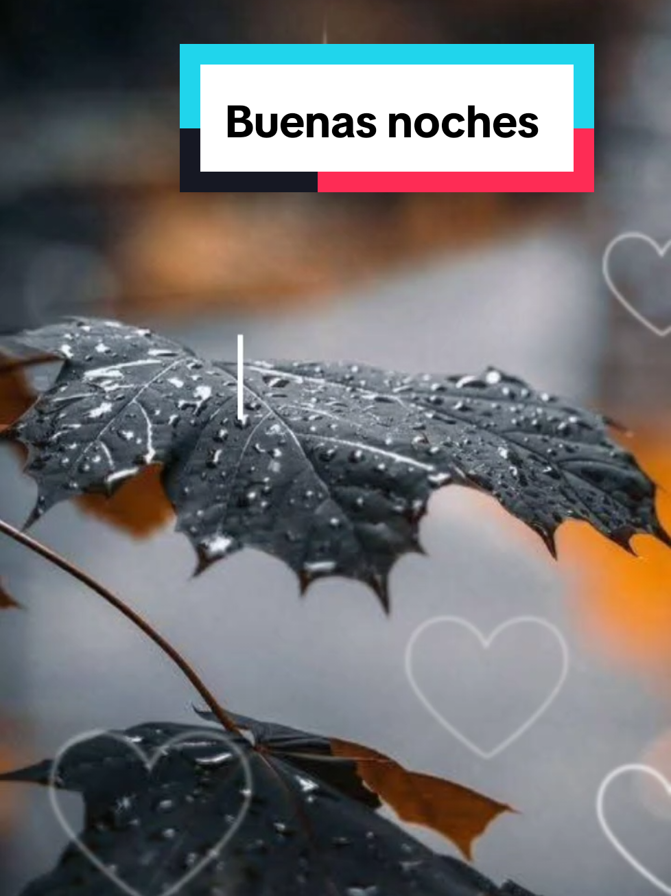 Buenas noches  lindos sueños  #CapCut #lindanoche #buenasnoches #parati @Creator's search Insights @#foryou 