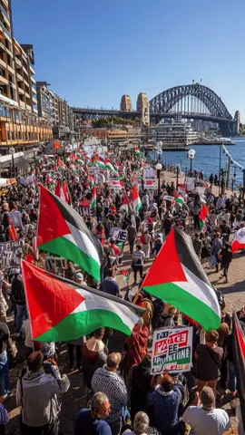 FREE FREE PALESTINE 🇵🇸  #fyp #foryou #viral #tiktok #goviral 