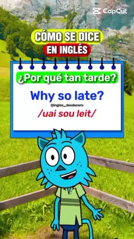 🌟 CÓMO SE DICE 