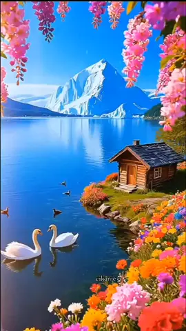 bismillahirrahmanirrahim #assalamualaikum  #quotes #storywa #katakata  #alhamdulillah  moga2 Allah permudahkan segalanya 🤲🥰