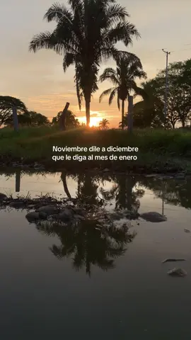 Se volvió a rascar el guerrero @Jorge F. Guerrero S. :Noviembre dile a diciembre que le diga al mes de enero Que a lo mejor no me pican los gegenes de febrero Y que si en caso me pican no hallaran sangre en mi cuero Porque ya me desangro un cruel amor traicionero #musicallanera #llanerasvenezolanas🇻🇪 #estadosparawhatsapp #paratusestados #wil🤠 